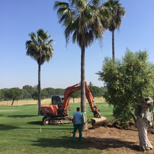 Campo de Golf Pineda, Sevilla.