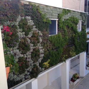 Jardín Vertical Palacio de los Mora, Lucena