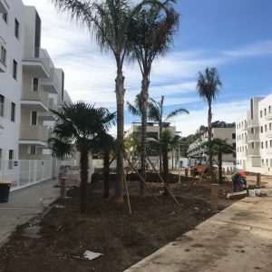 Viviendas Mairena del Aljarafe, Sevilla.