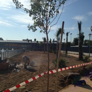 Piscina Municipal de Palma del Rio, Córdoba.
