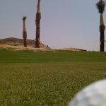 Campo de Golf de Elche, Alicante.